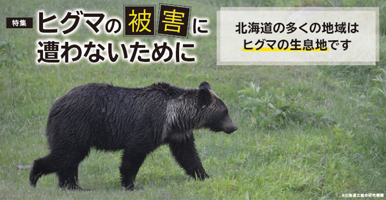 特集　ヒグマの被害に遭わないために　北海道の多くの地域はヒグマの生息地です